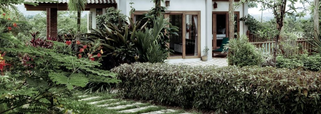 Garden Maintenance