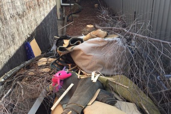 rubbish removal1