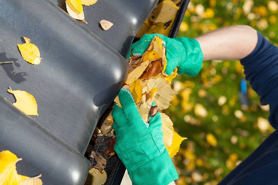 House Exterior Cleaning