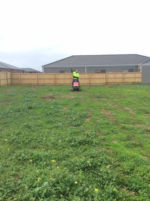 Clean Lawn